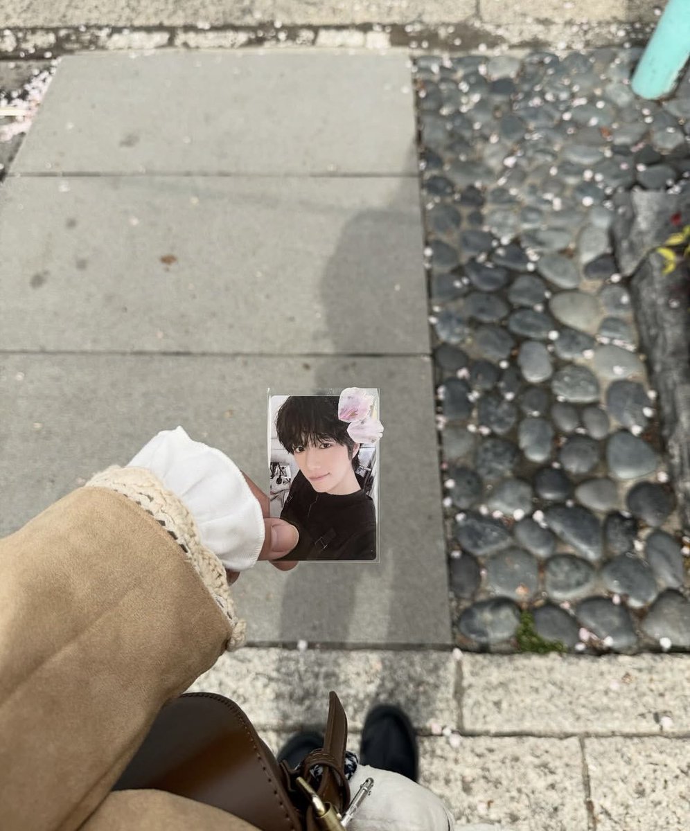 𝙢𝙞𝙤𝙣 tweet media