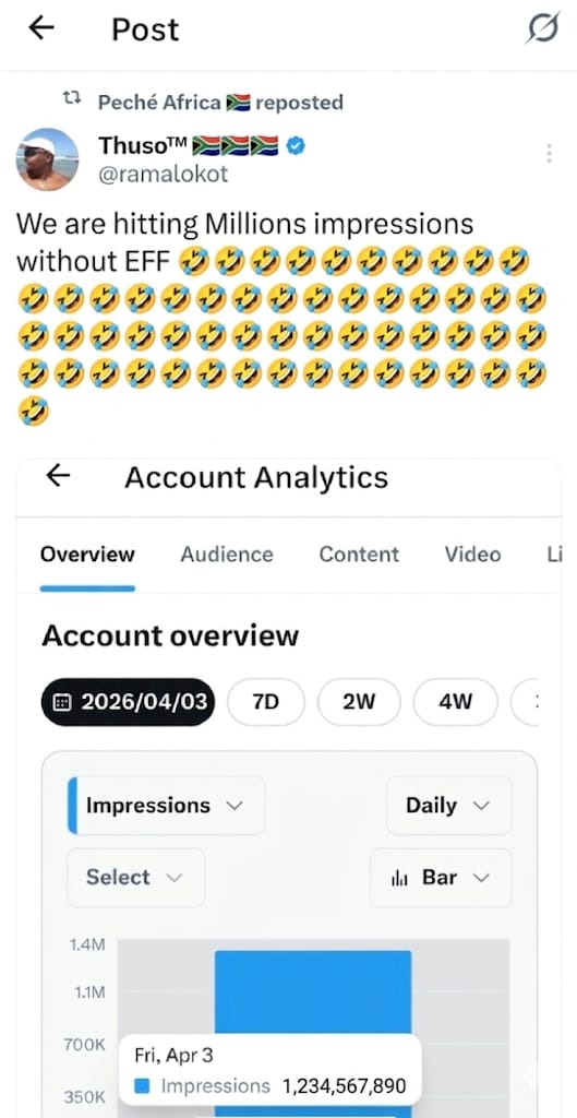 Lerato.EFF tweet media