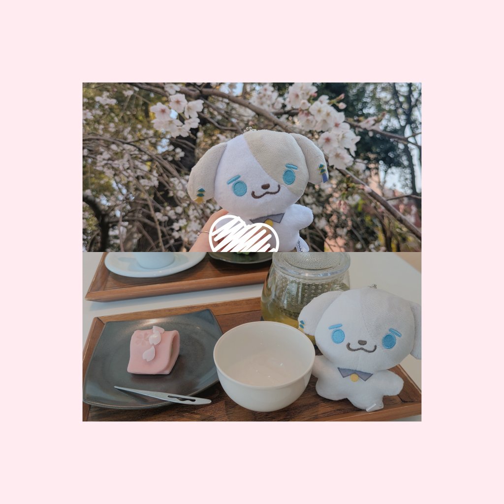 yn_latte's tweet photo. たうんも連れてお出掛けしてきた🌸 https://t.co/Bftz0U8GBl