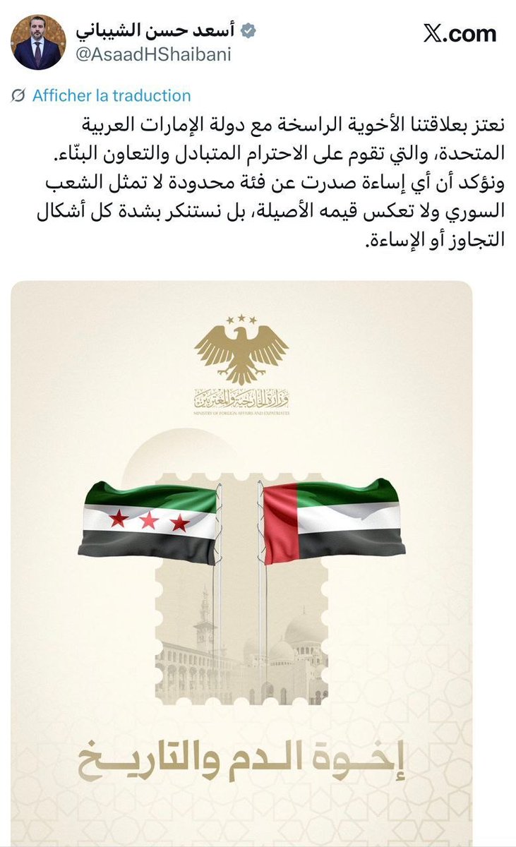 سيدة الموقف tweet media