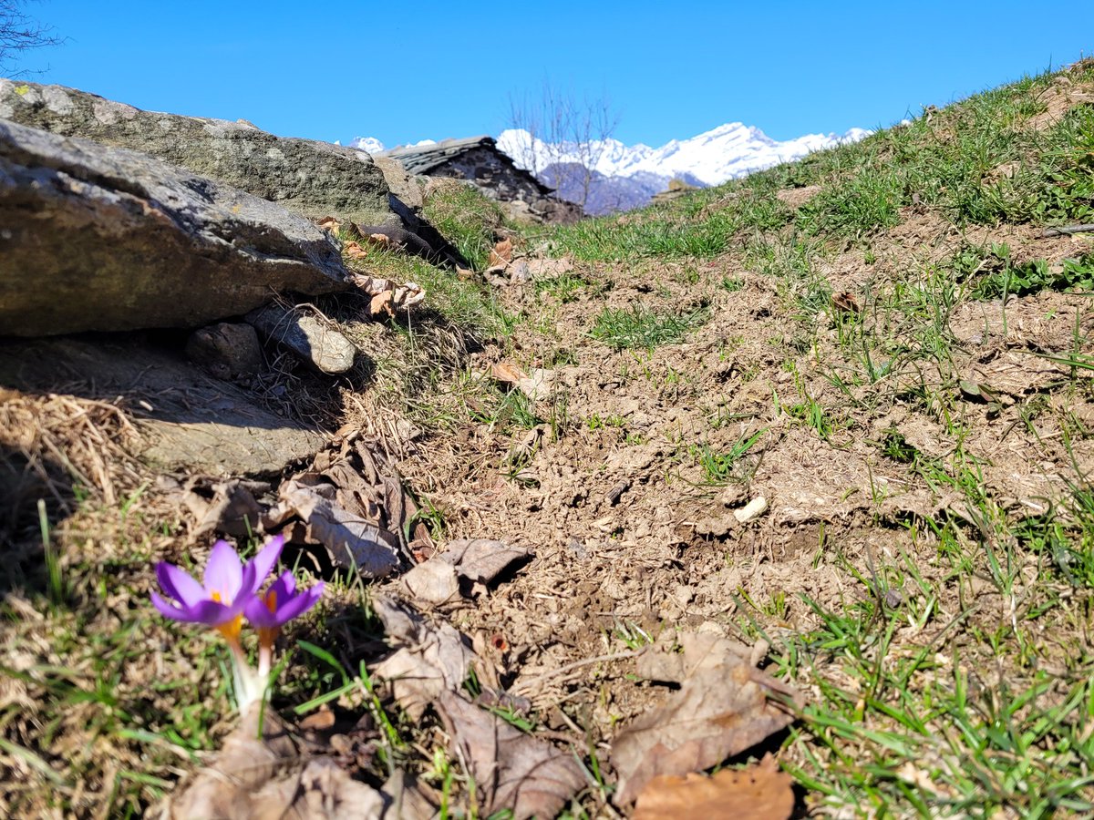 Beppe Leyduan tweet media