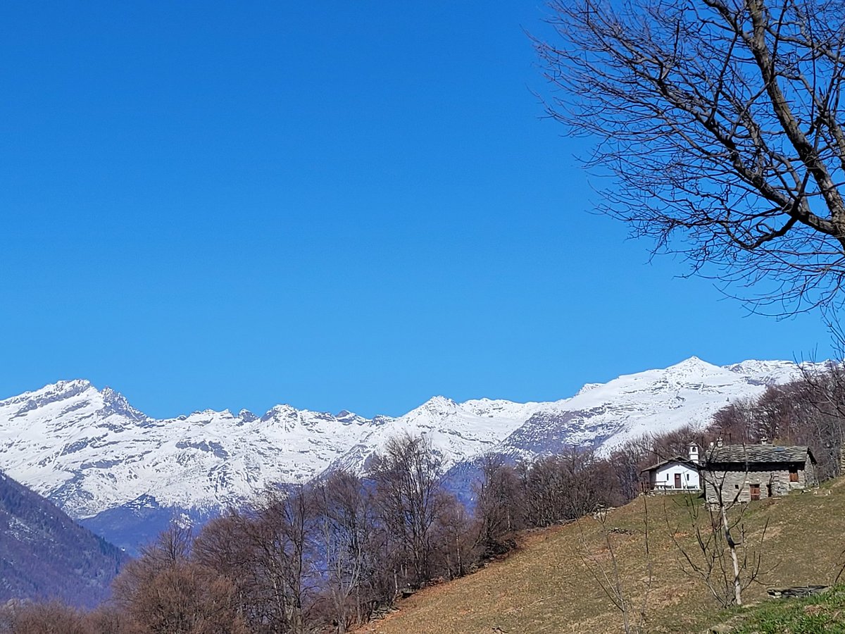 Beppe Leyduan tweet media