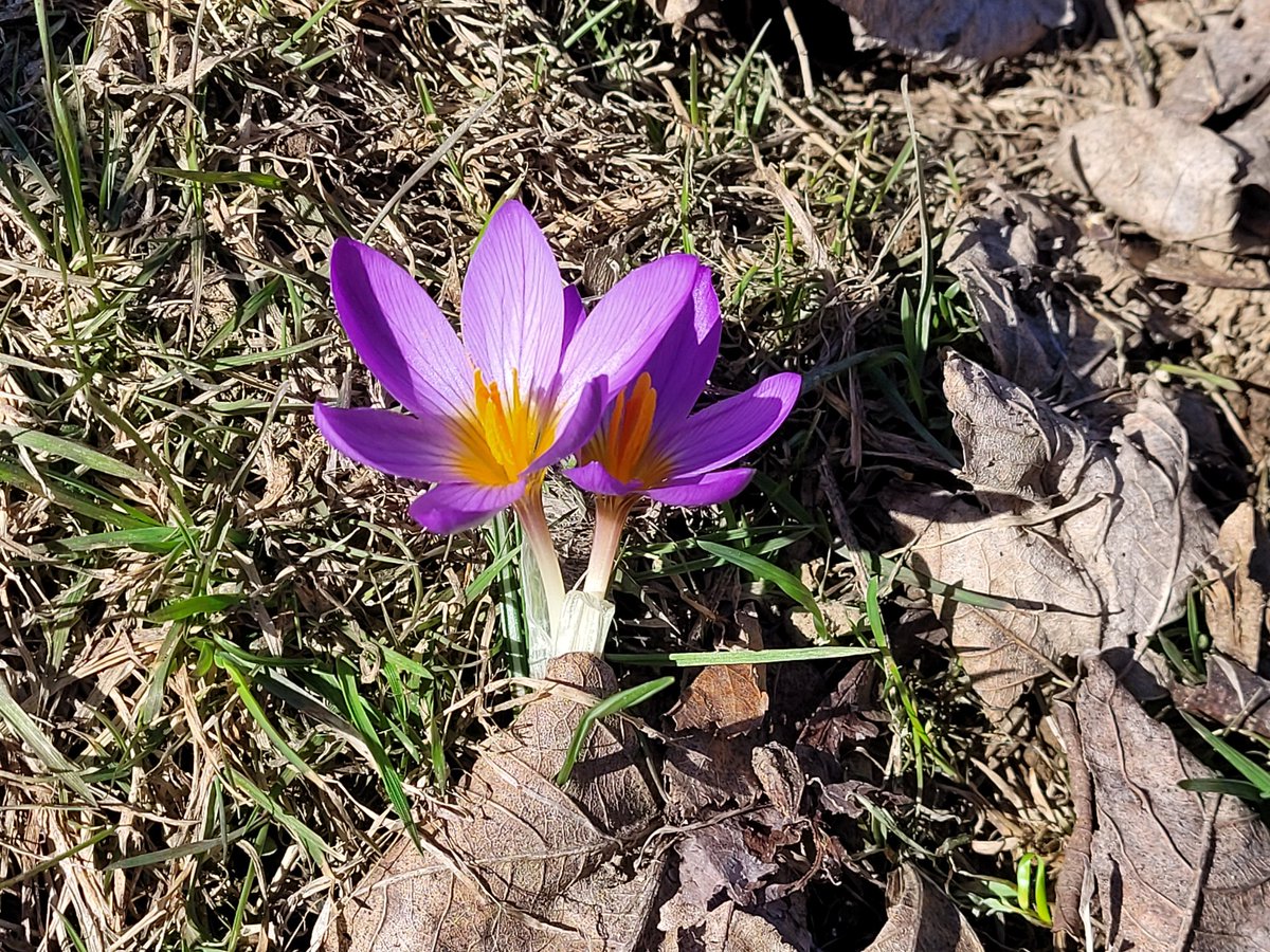 Beppe Leyduan tweet media