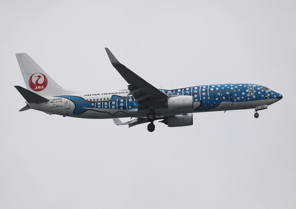 akira_raptor01's tweet image. 2026年4月5日
#羽田空港（Tokyo International Airport）
#HND #RJTT
⑤Japan Transocean Air   Boeing 737-8Q3   JA05RK
   'Jinbei Jet Livery' 
   '2代目 ジンベエジェット'