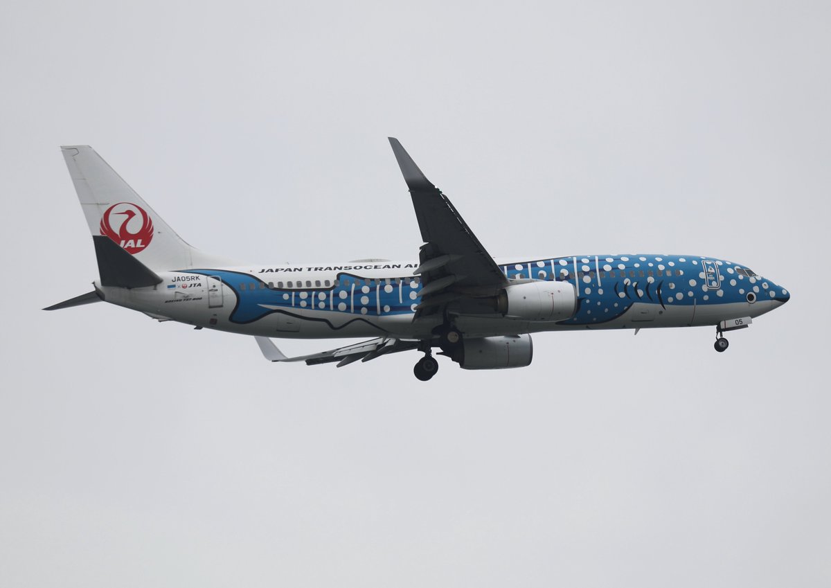akira_raptor01's tweet image. 2026年4月5日
#羽田空港（Tokyo International Airport）
#HND #RJTT
⑤Japan Transocean Air   Boeing 737-8Q3   JA05RK
   'Jinbei Jet Livery' 
   '2代目 ジンベエジェット'