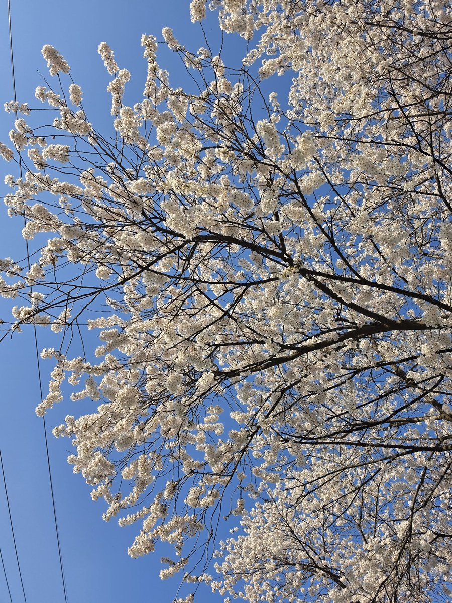 일상다반사 tweet media