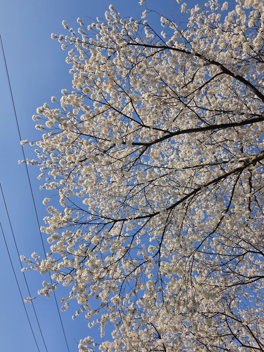 일상다반사 tweet media