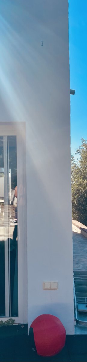 Steve Martin tweet media