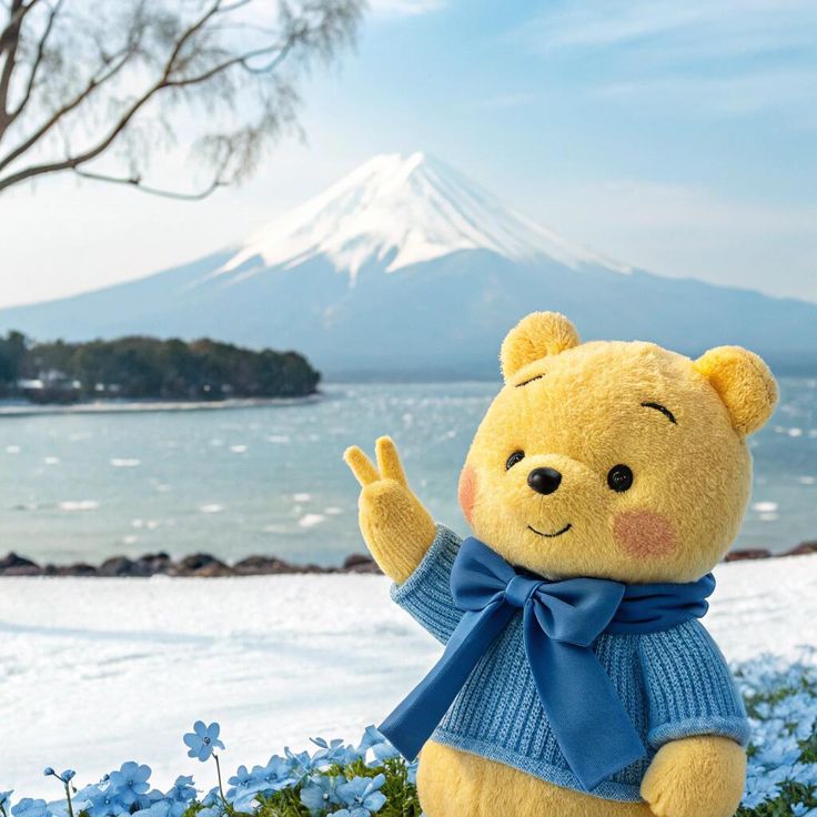 Solowise tweet media