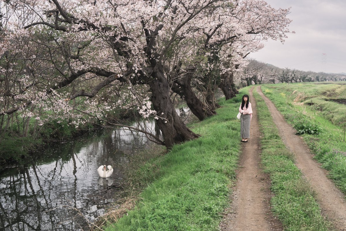 hamashun tweet media