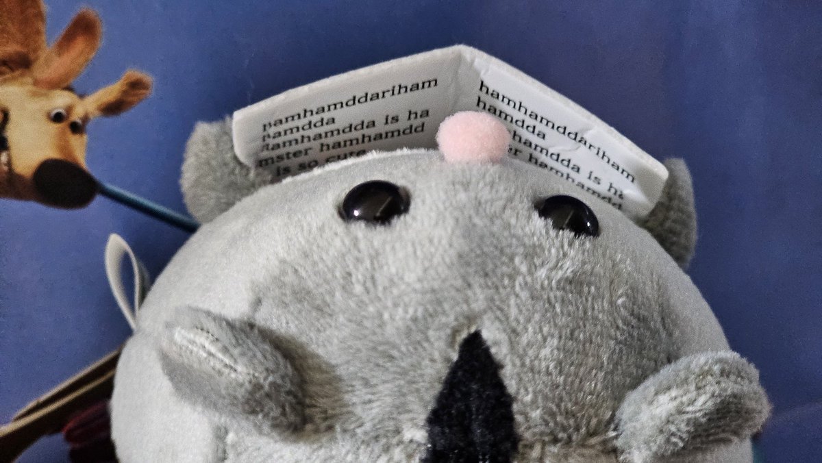 이말랑 tweet media