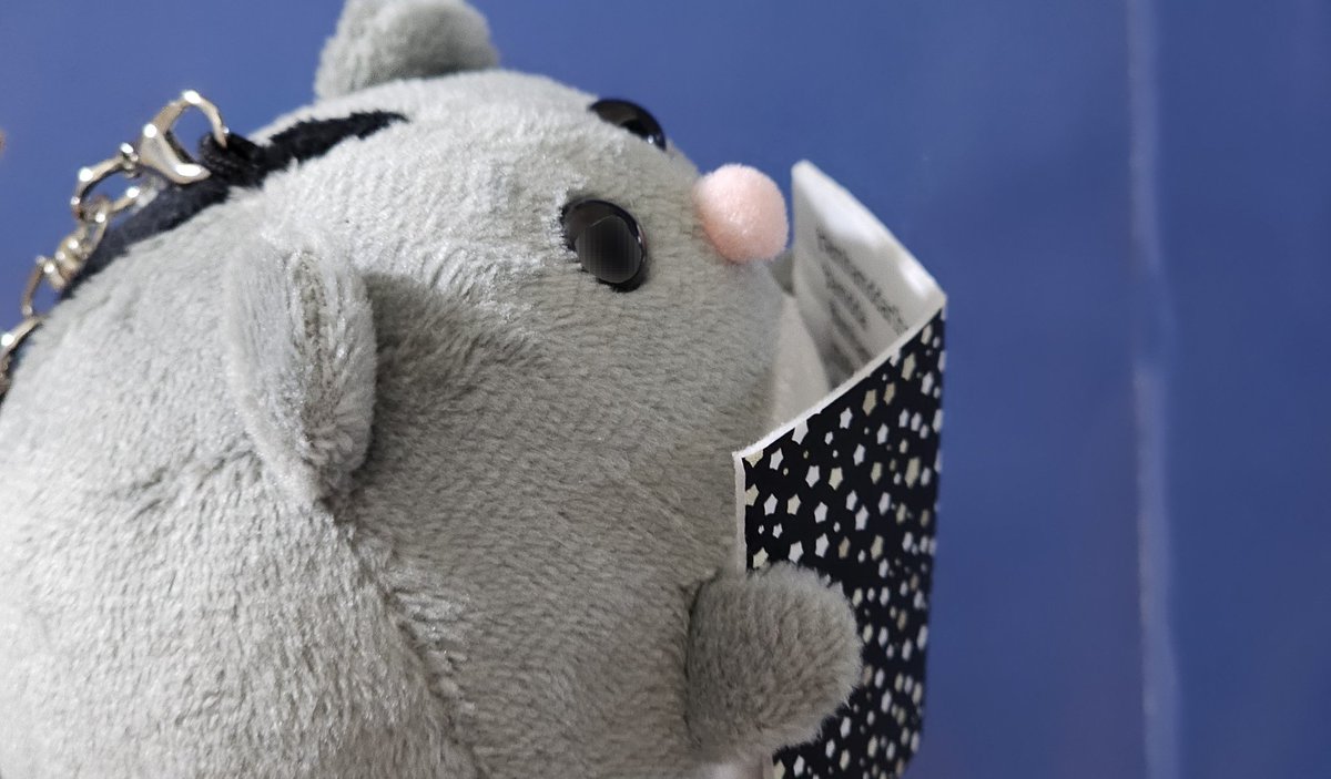 이말랑 tweet media