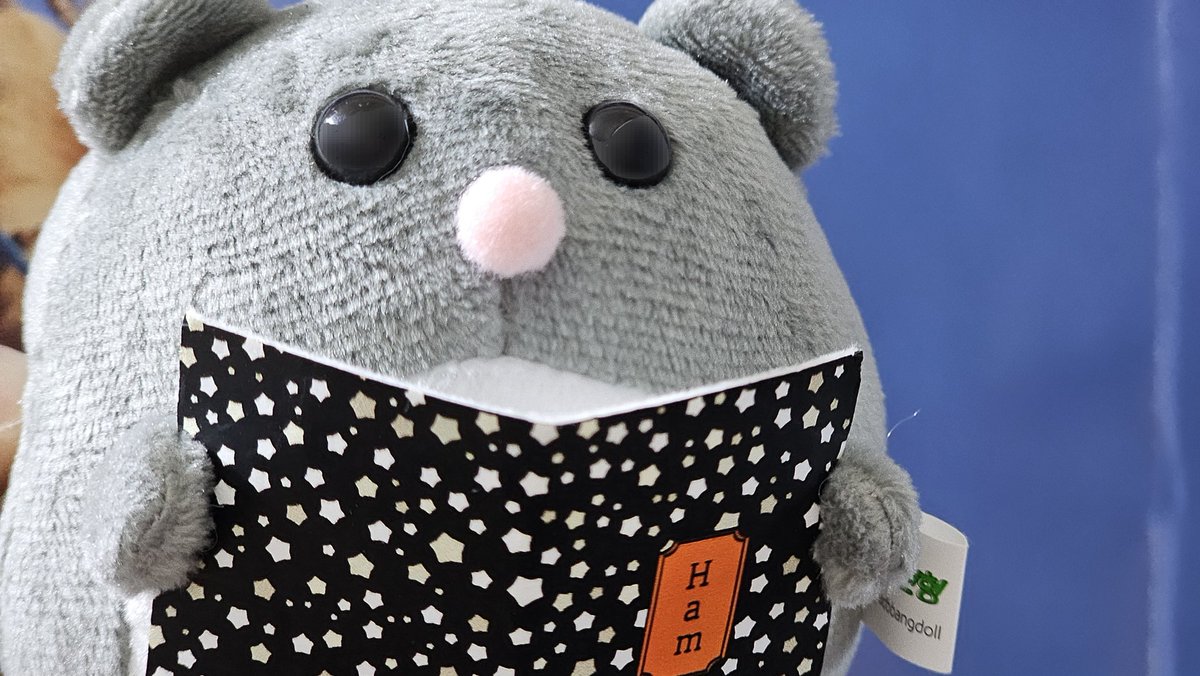 이말랑 tweet media