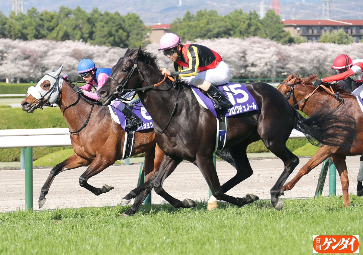 日刊ゲンダイ　競馬 tweet media