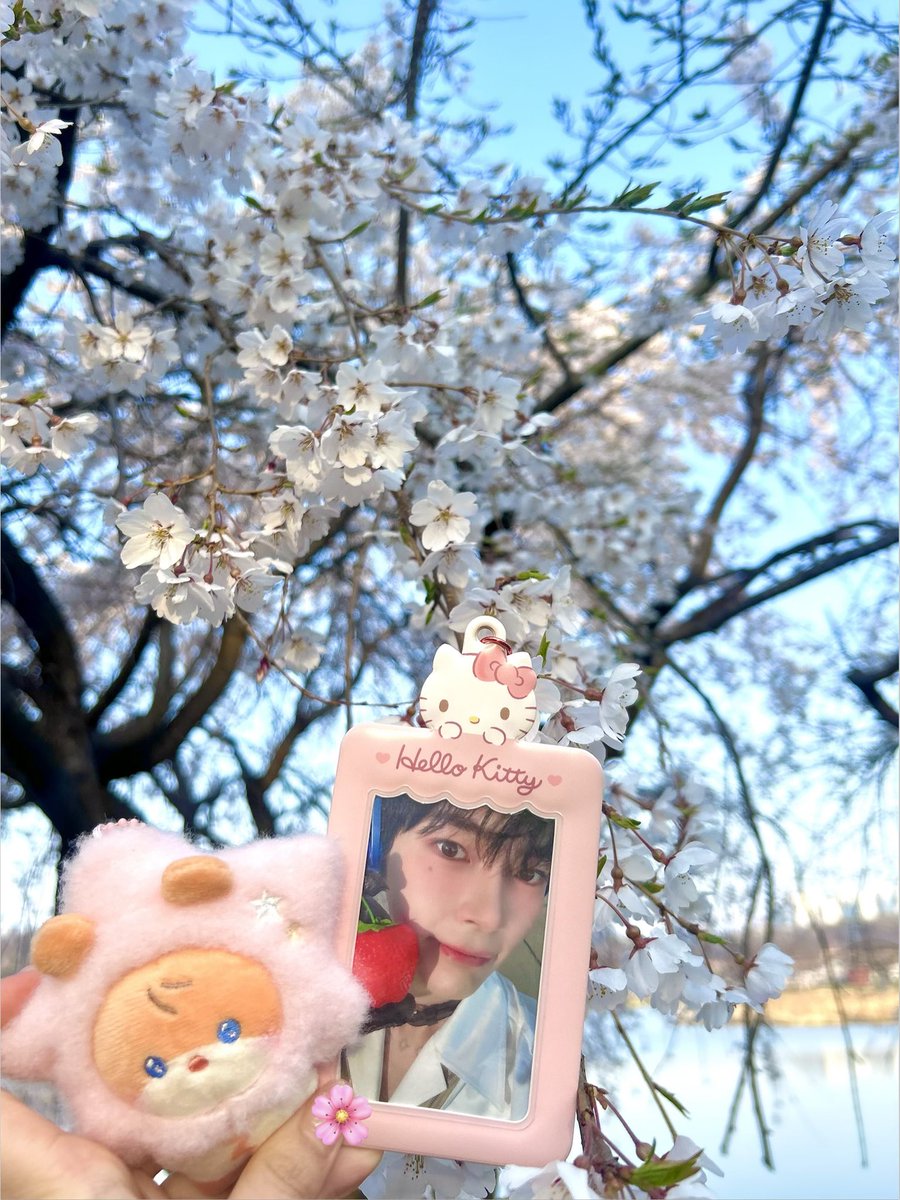 햄챙⛧ tweet media