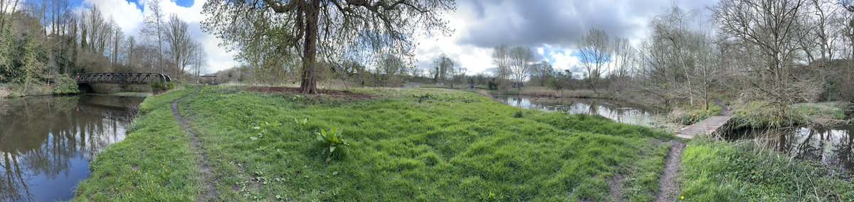 Puppy Bess and Auntie Kes tweet media