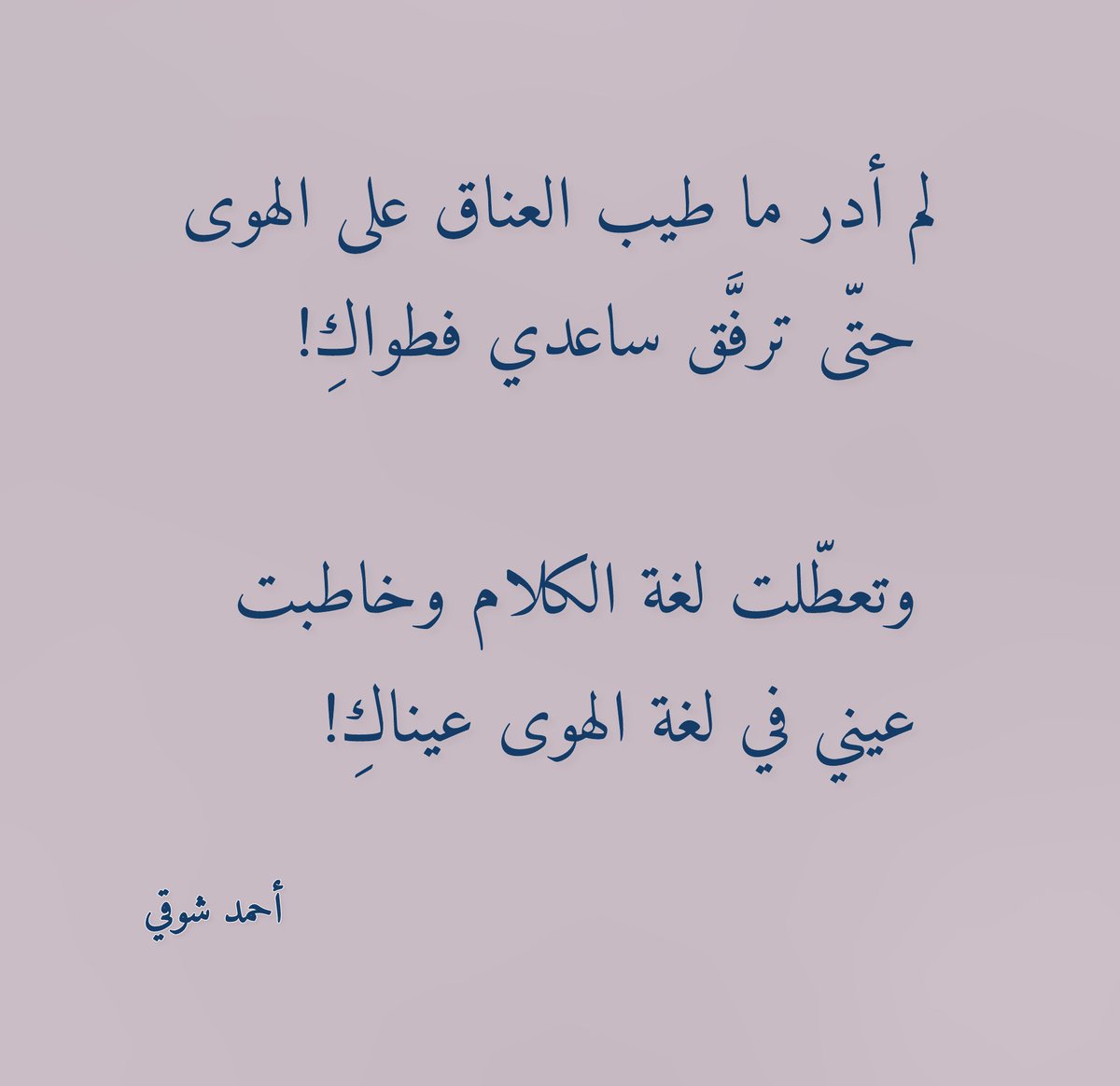 مَ🦋. tweet media