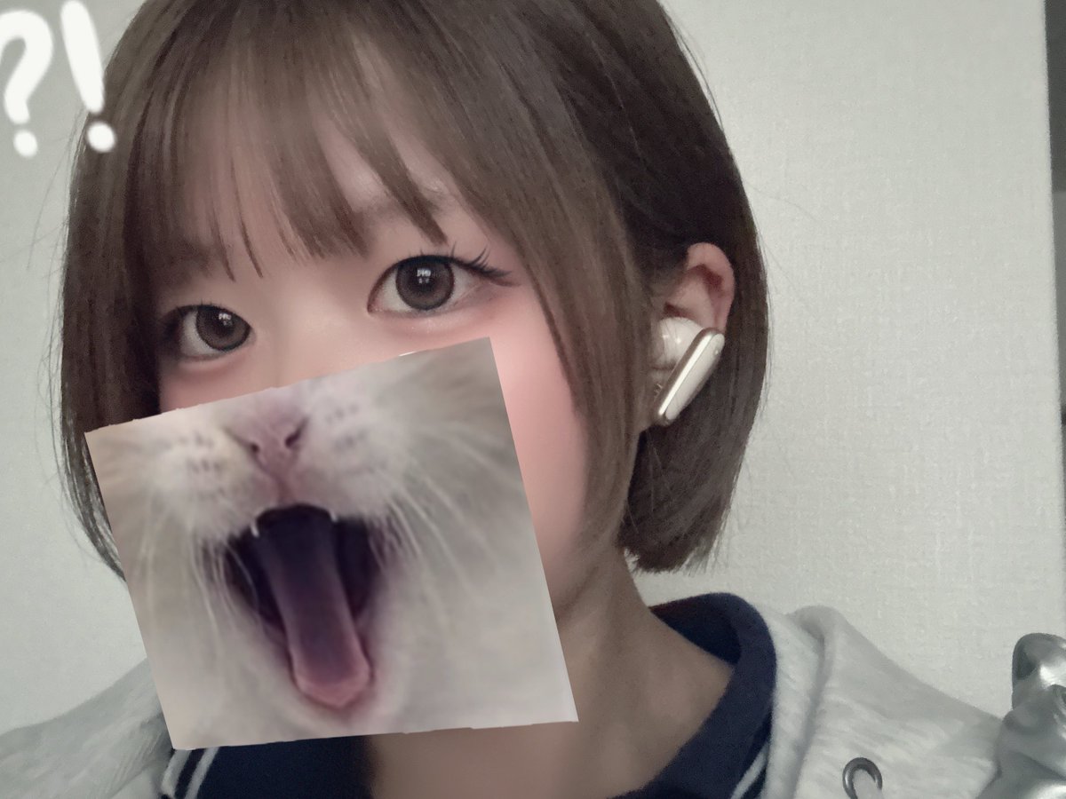 はるとかげ tweet media