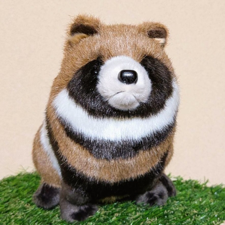 樫尾キネ tweet media