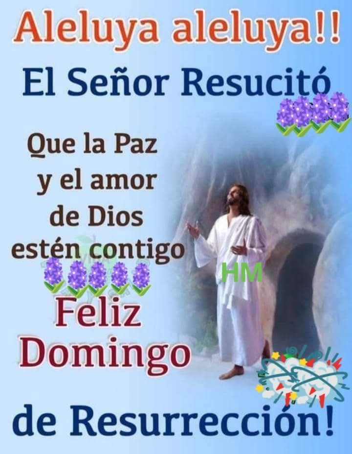 Sanjurjo Dominicano,🇩🇴 tweet media