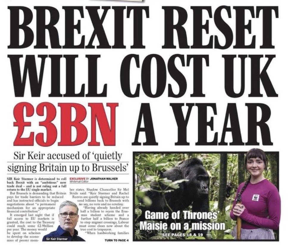 Damian Low tweet media