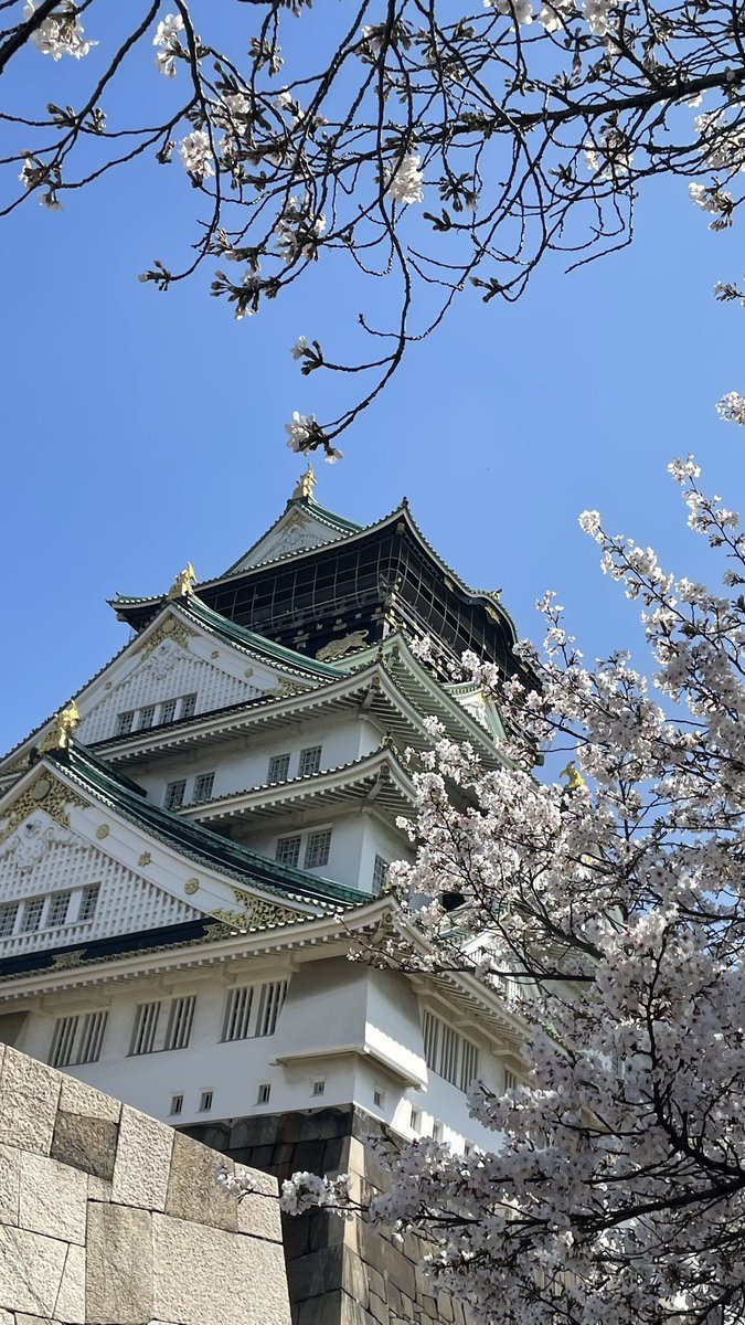 KAORI tweet media