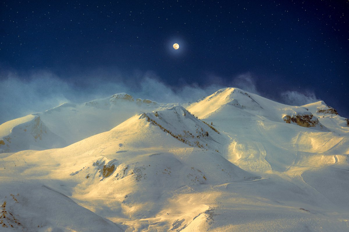 Samantha Cavet tweet media