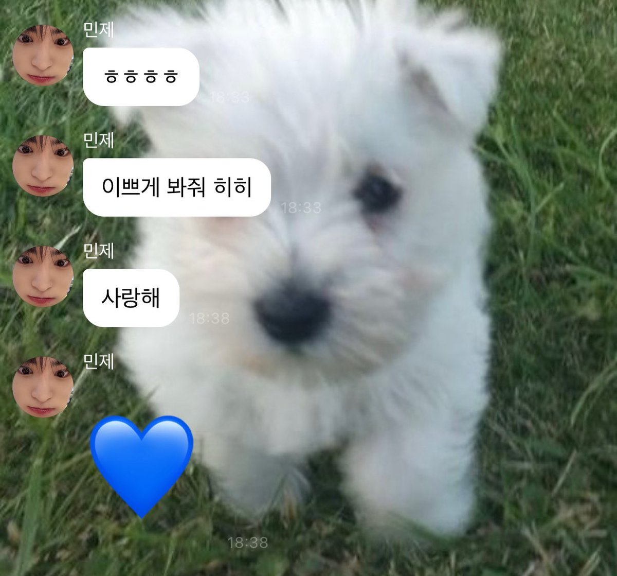 ɪᴍᴀ tweet media