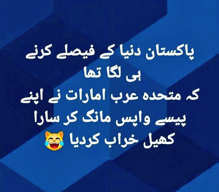 Abida M Gardezi tweet media