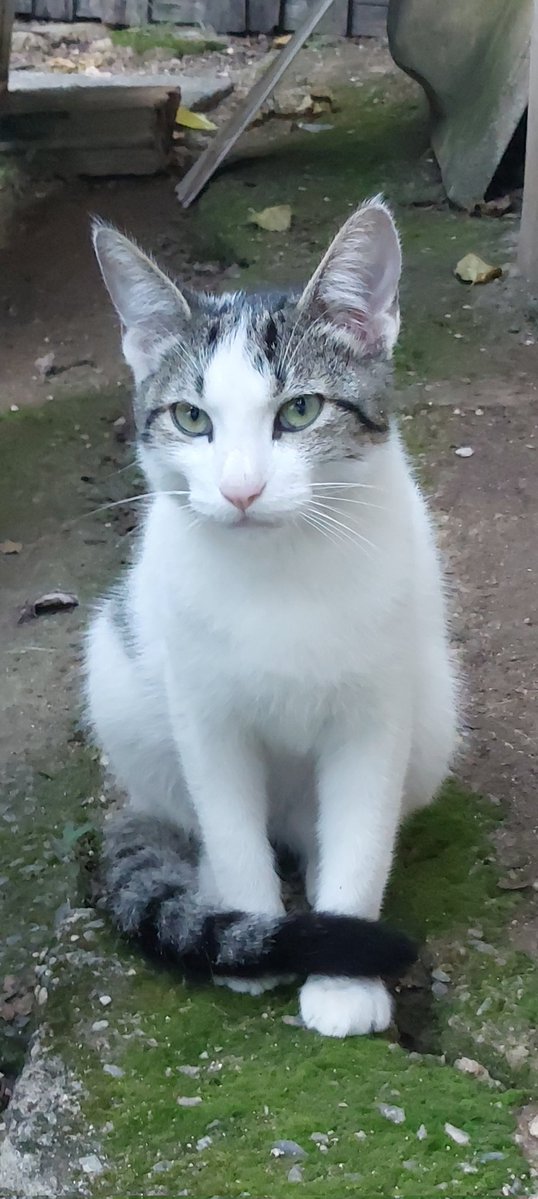 Marcus Vinicius de Araújo tweet media