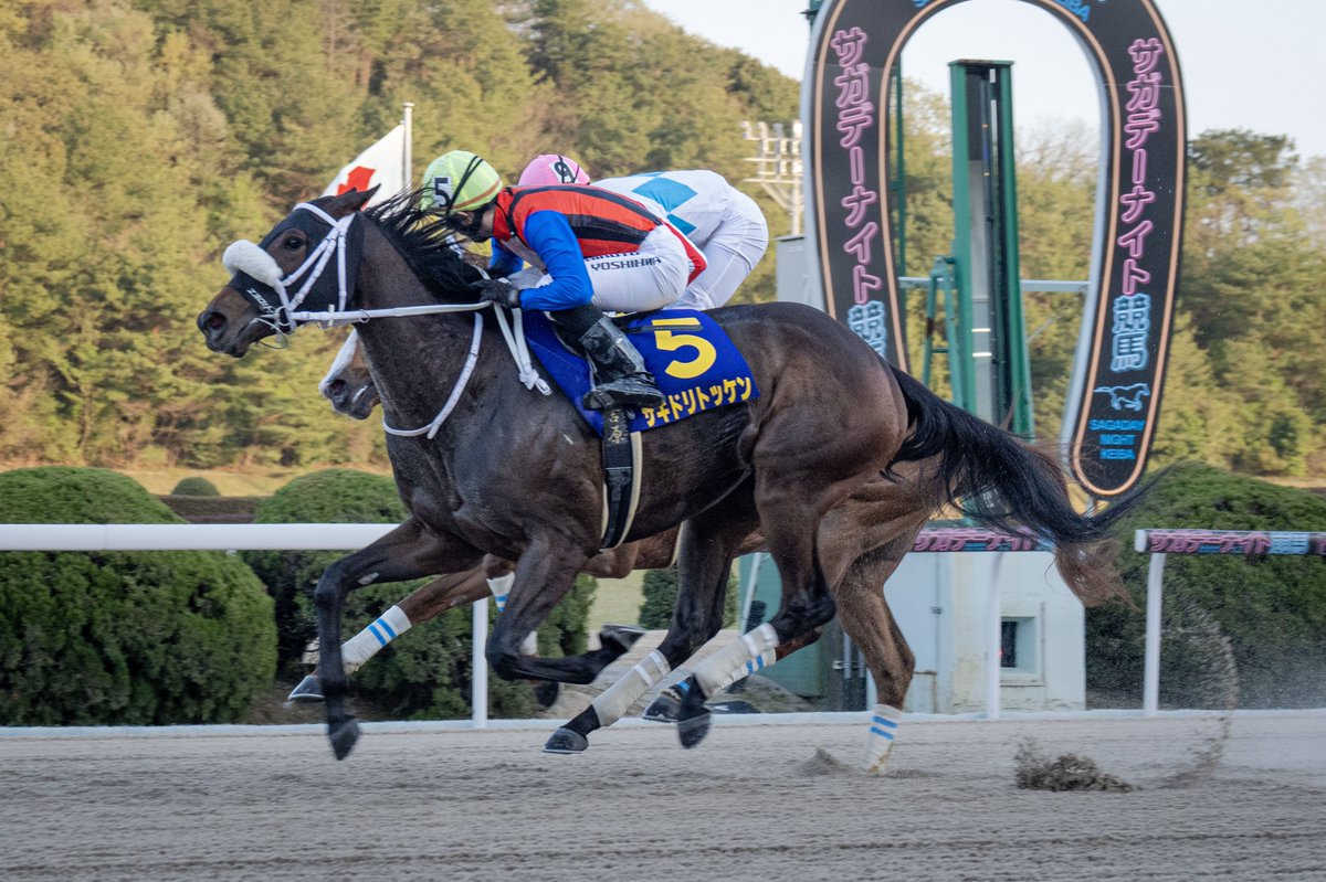 さがけいば（佐賀競馬場） tweet media