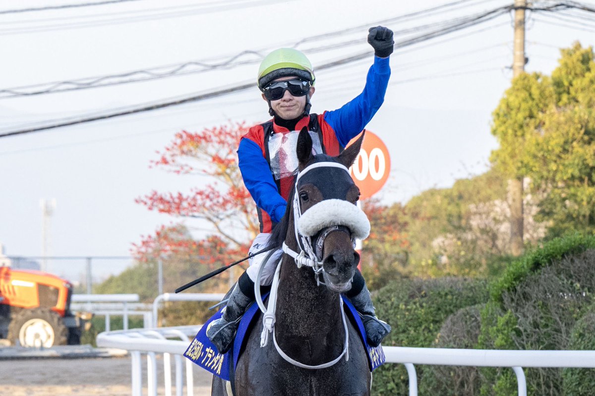さがけいば（佐賀競馬場） tweet media