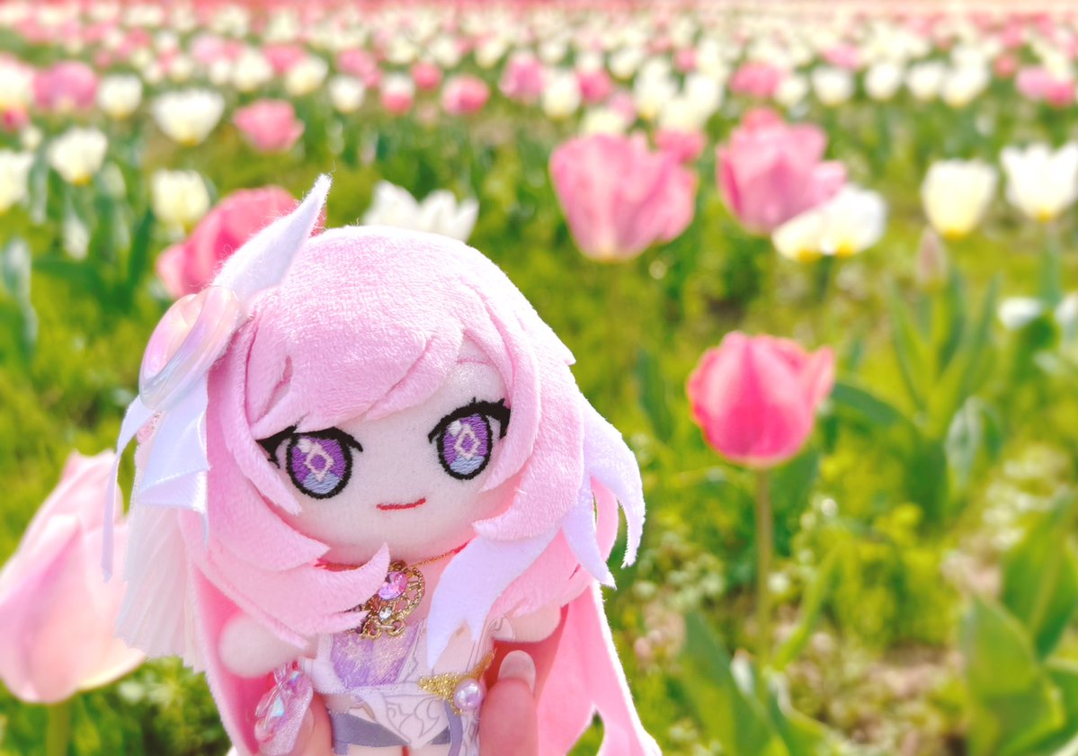 パピ公 tweet media