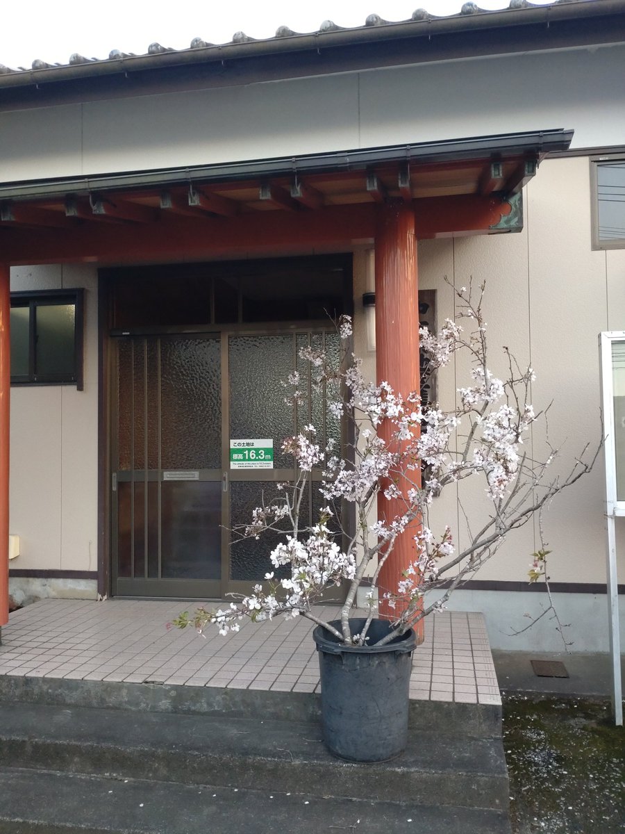 清武のじぃじ tweet media