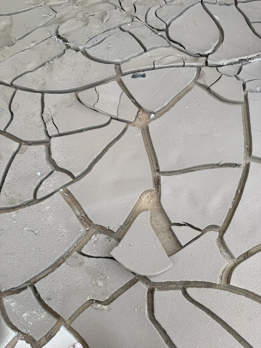 先日の雨でできた川が流れ込んだ場所（1枚目）が干上がり、一緒に流れ着いた粘土が残って巨大天然パズルができてた。