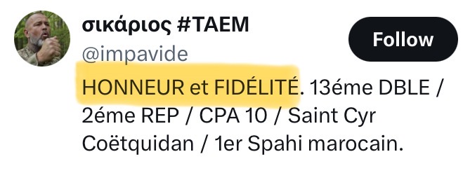 Petit scarabé tweet media