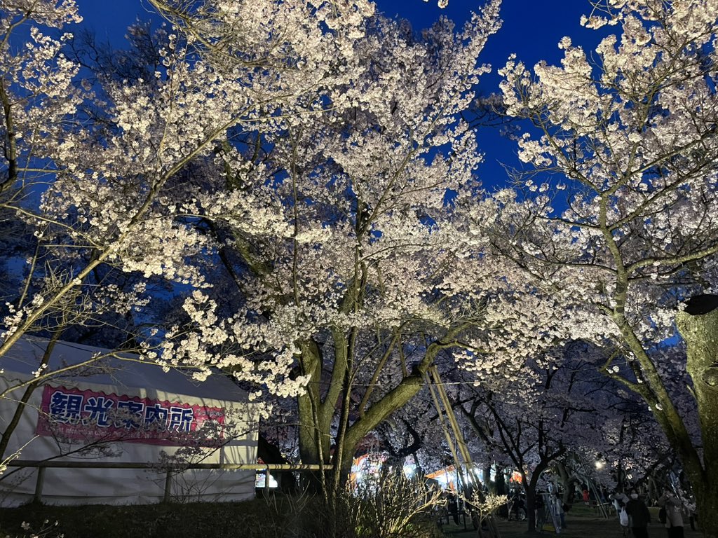 ひろっくま tweet media