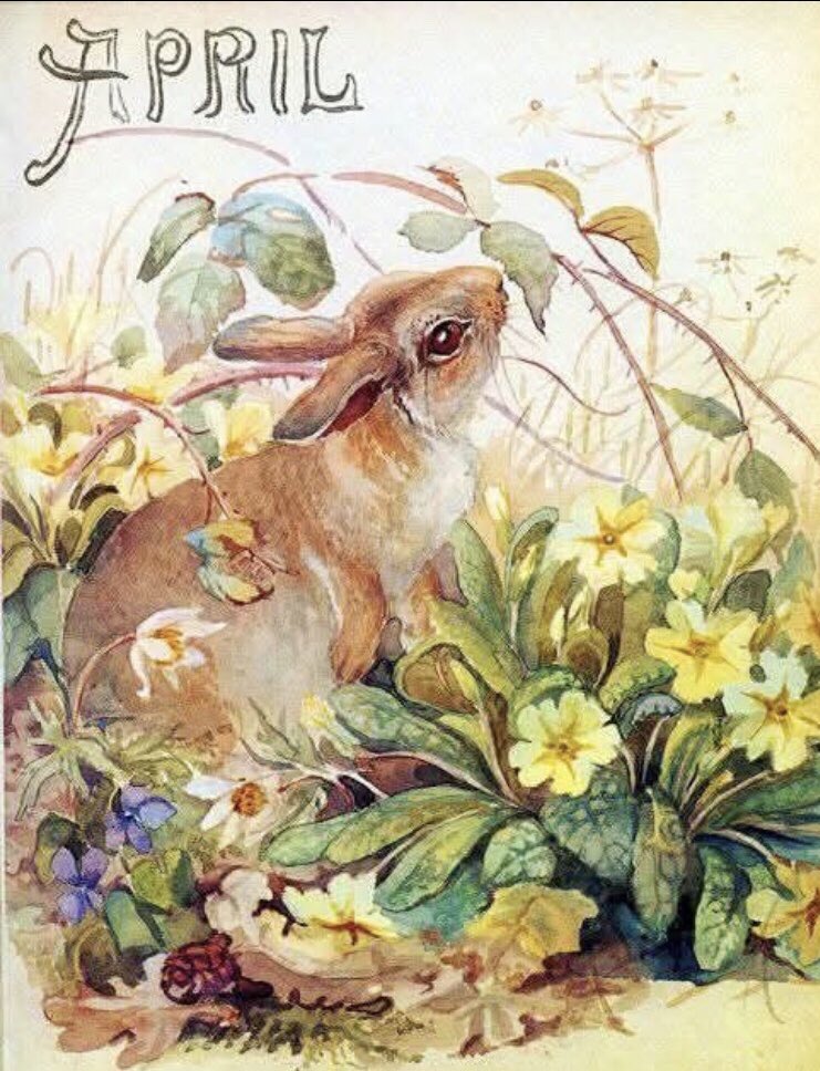 #FolkloreSunday tweet media