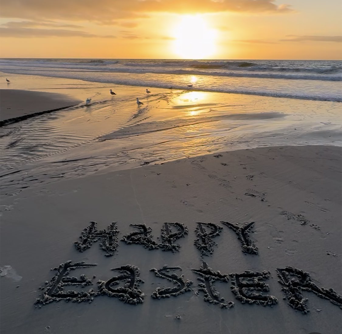 Simply Southern Blonde tweet media