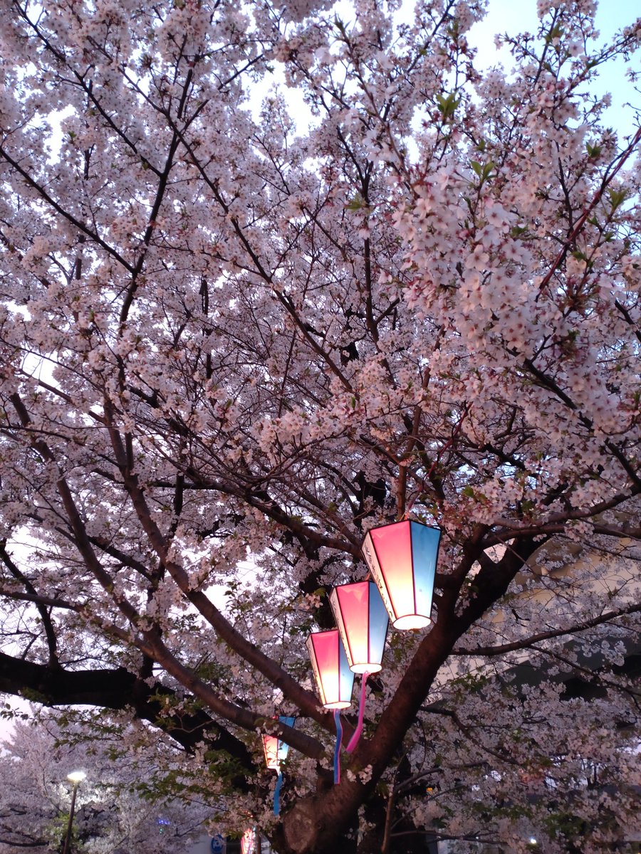 おるち tweet media