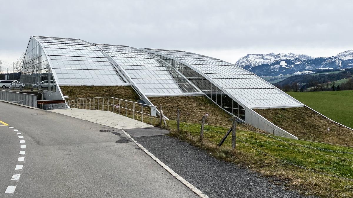 Dr. PJ 🐈 tweet media