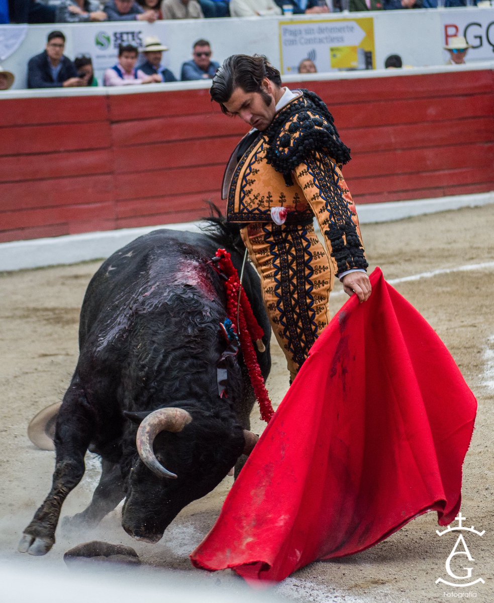 Andrea Grijalva D. tweet media