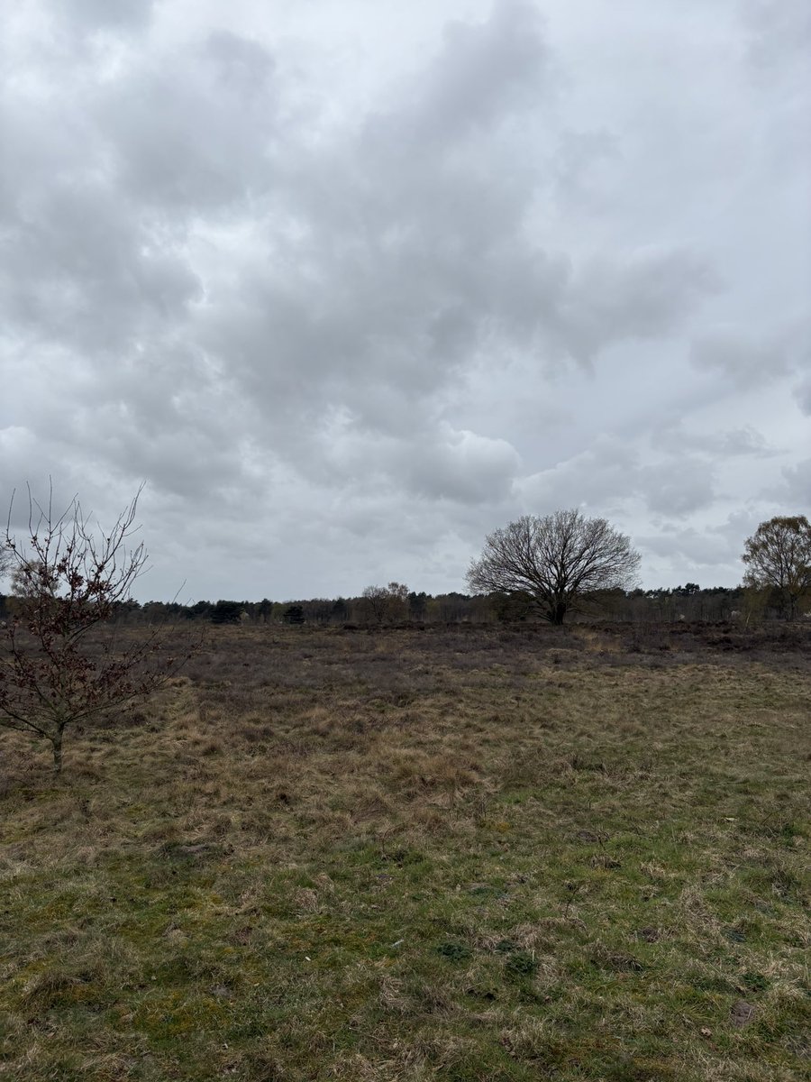 Stephan van Huis tweet media