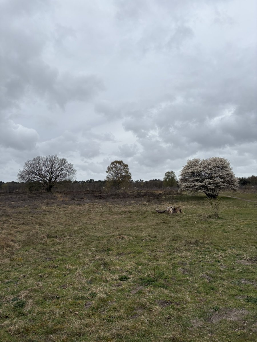 Stephan van Huis tweet media