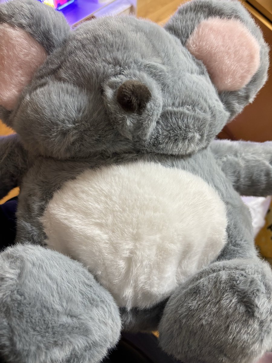 ゆんげらー tweet media