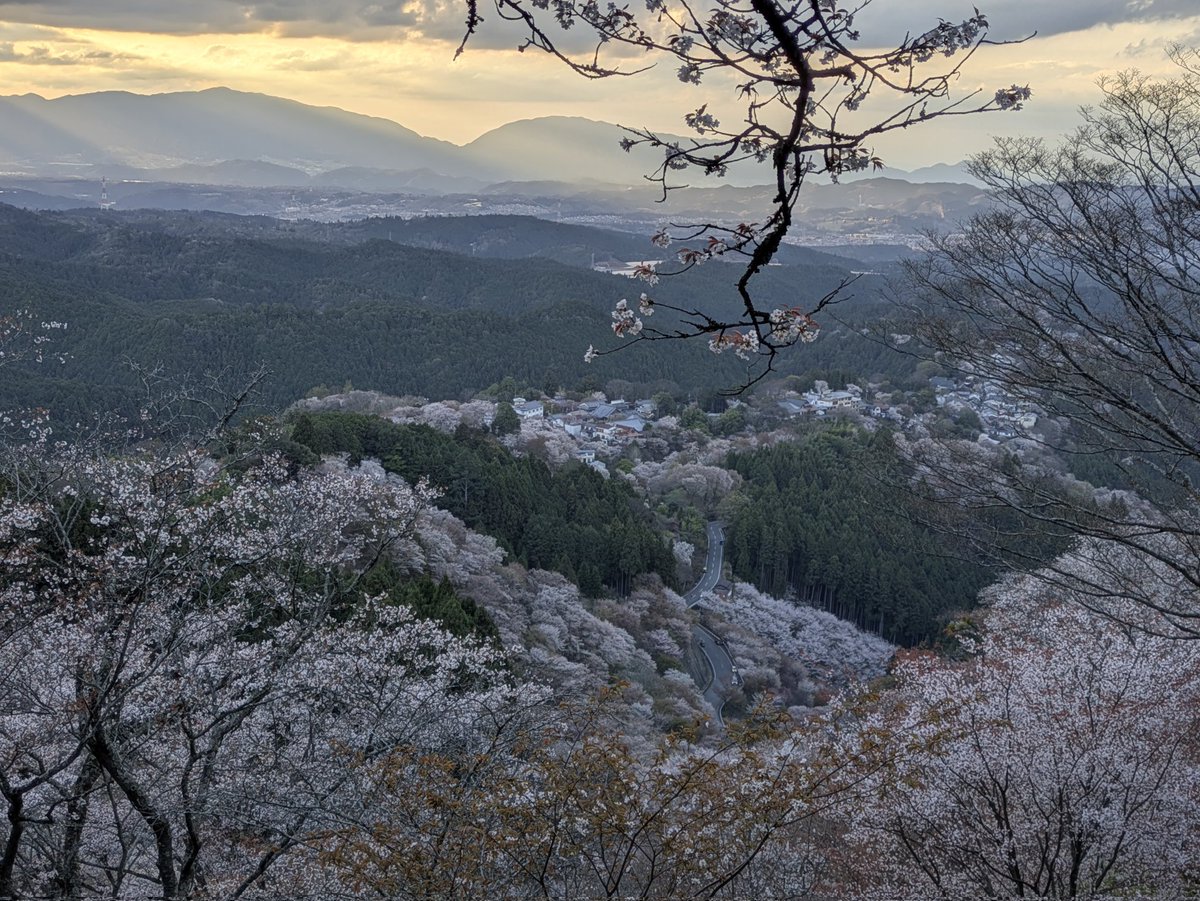 鉄道旅行備忘録 tweet media