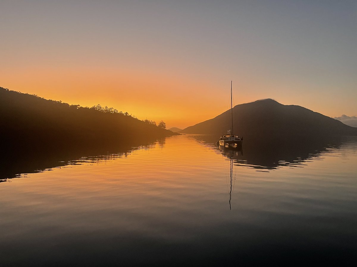 arcadelt tweet media