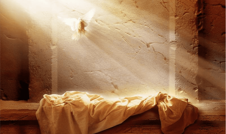 PSOE_Ceuta's tweet photo. Hoy la comunidad cristiana celebra el Domingo de Resurrección.
Desde el PSOE de Ceuta nos sumamos a este día tan especial, porque respetar y acompañar las tradiciones de nuestra ciudad es parte de lo que nos une.
#ConNuestrasTradiciones https://t.co/fNXoysdVkX