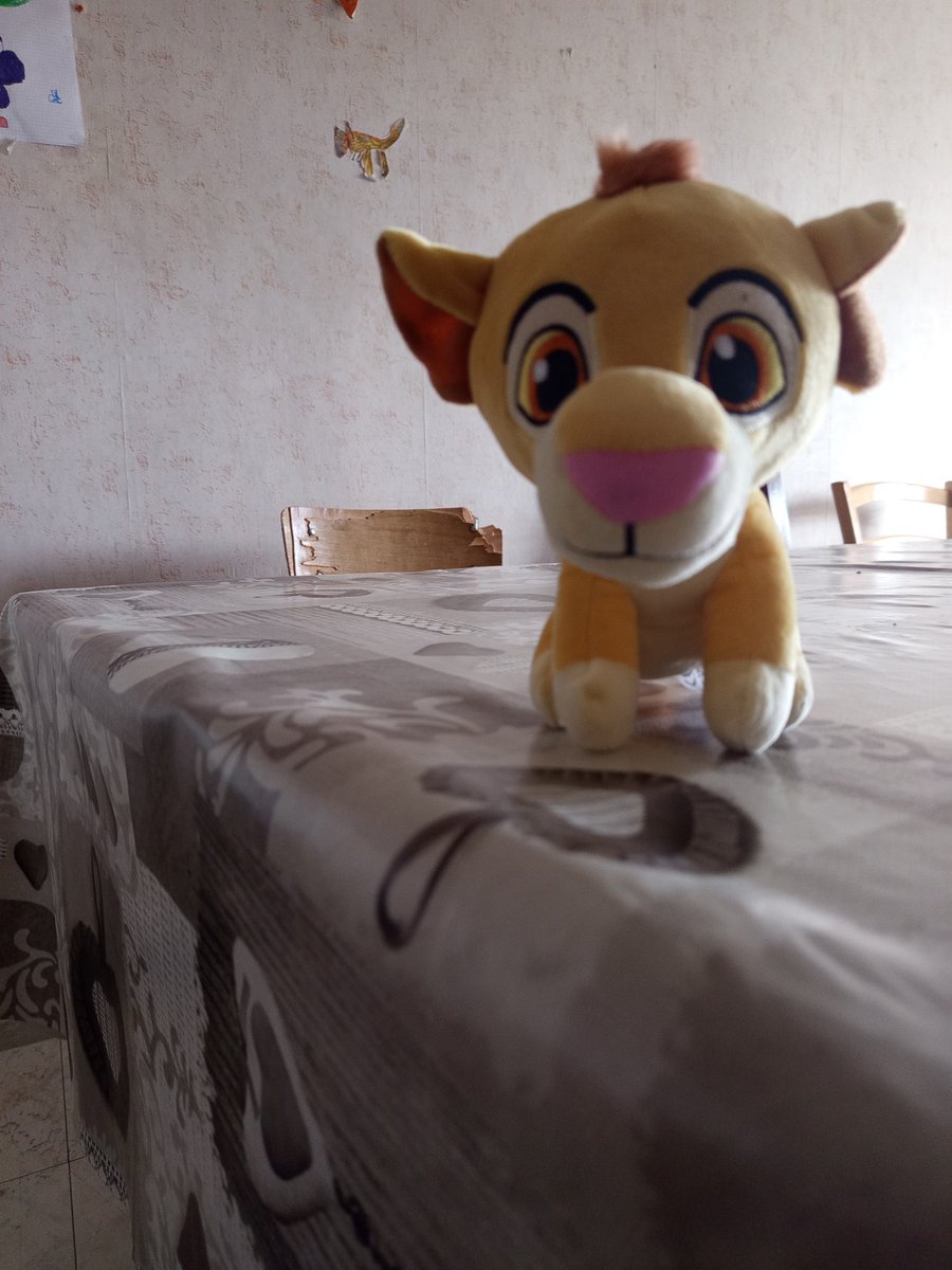 Marie-Claire Gasser tweet media