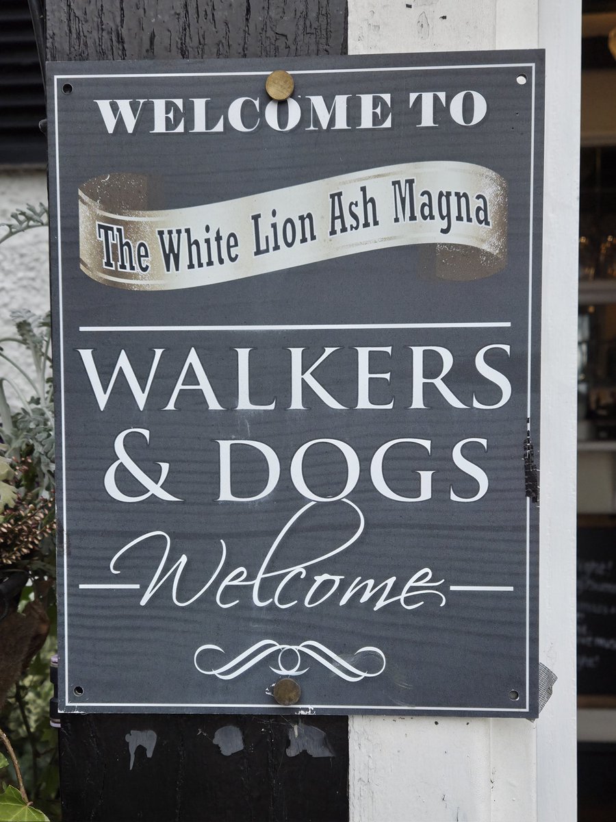 SJaney Lightning tweet media